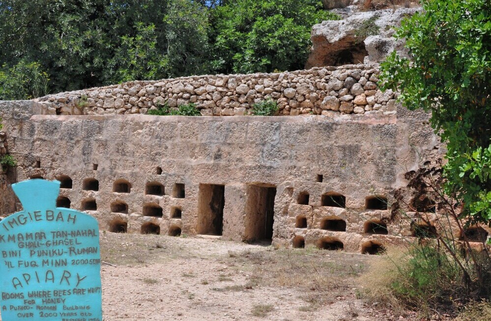 Roman Beehives