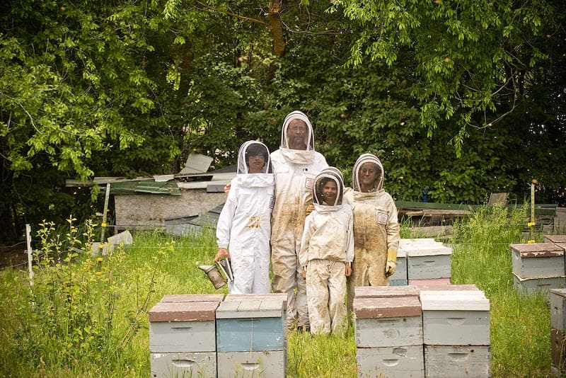 Beehive Box